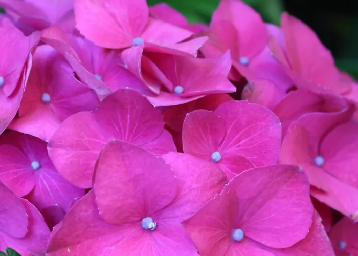 B&B La Casa Di Cristina Commino