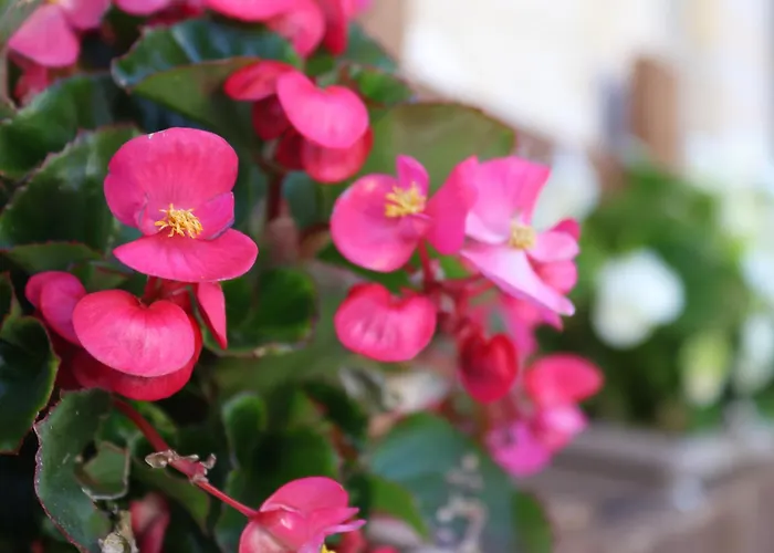 La Casa Di Cristina B&B